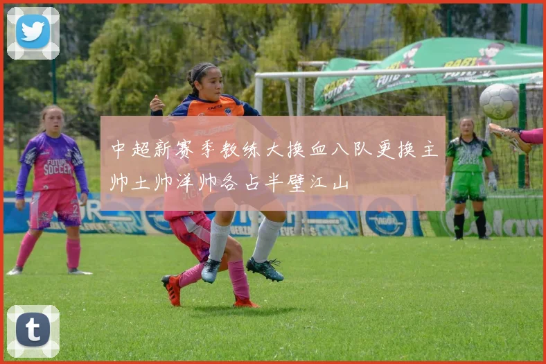 中超新赛季教练大换血八队更换主帅土帅洋帅各占半壁江山